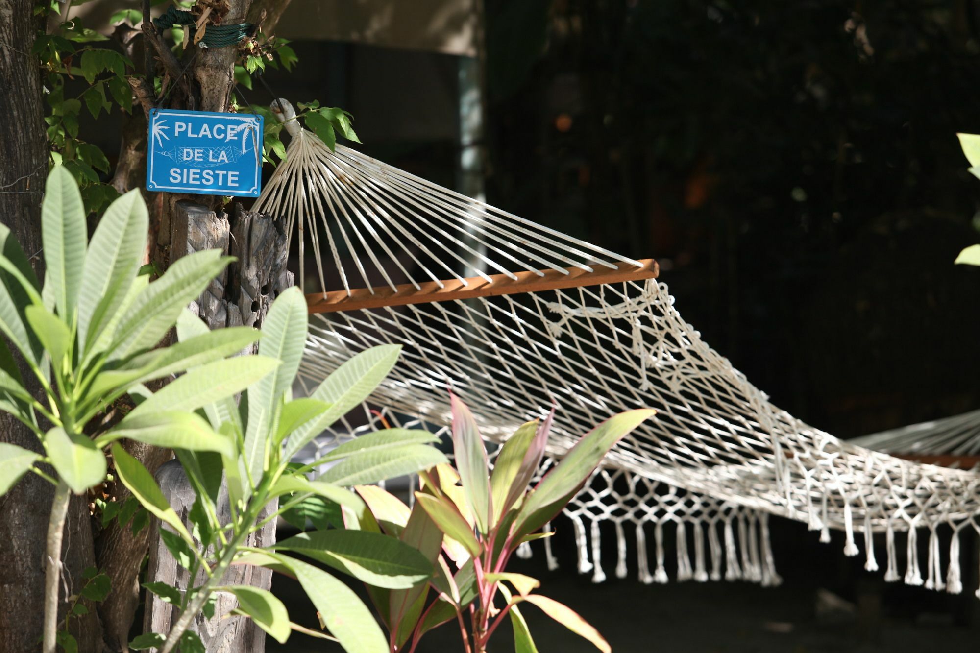 La Cocoteraie Ecolodge - Luxury Glamping Tents Gili Trawangan Kültér fotó